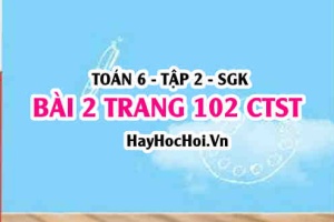 Giải bài 2 trang 102 Toán 6 Tập 2 Chân trời sáng tạo